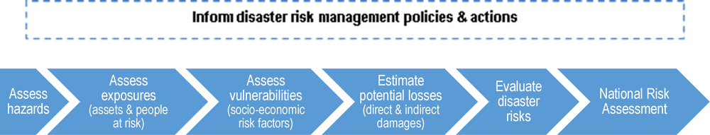Figure 4.1. Disaster risk assessments 